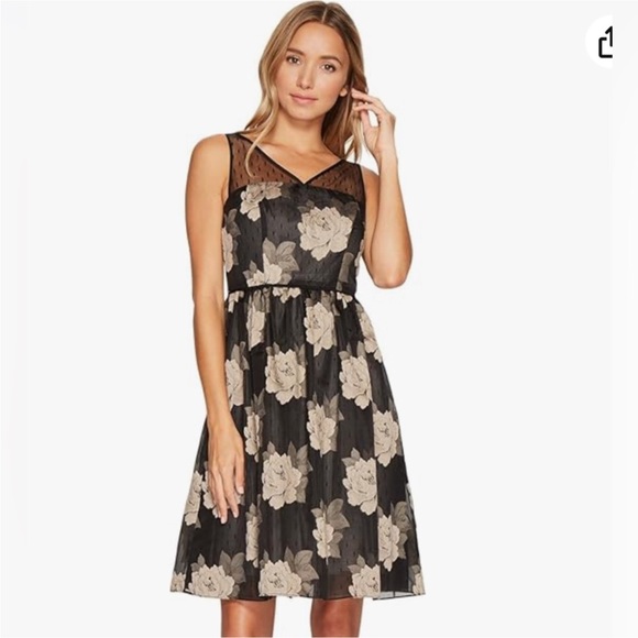 Adrianna Papell Dresses & Skirts - Adrianna Papell Women's Rose Burnout Fit and Flare